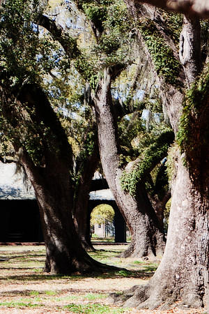 City Park Doorway